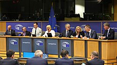 Jednání nové frakce Patrioti v Bruselu s Klárou Dostálovou (ANO). (9. ervence...