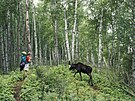 Z hlediska návtvnosti zaujímá Národní park Isle Royale 330. místo mezi...