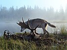 The Wall Street Journal popisuje národní park Isle Royale jako skutenou...