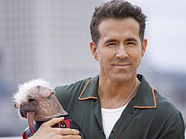 Ryan Reynolds s pejskem Peggy v Londýn (12. ervence 2024)