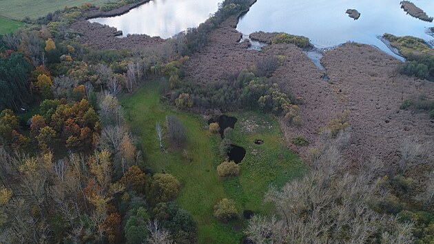 Po��t� se s vyk�cen�m patn�cti hektar� nep�vodn�ch d�evin, kter� tam vysadili v minul�m stolet�.