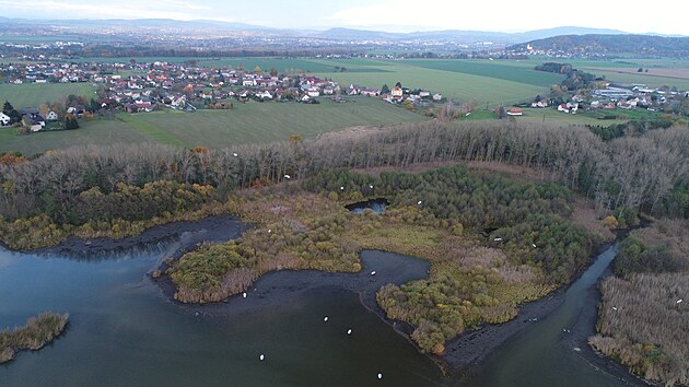 V prvn� z�n� chr�n�n� krajinn� oblasti prob�hne rozs�hl� obnova okol� nejv�t��ho rybn�ka �esk�ho r�je �abakoru.