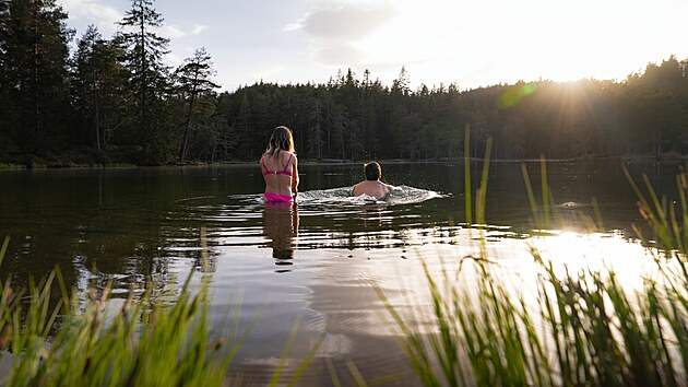 Jezero Mserer See, situovan v regionu Seefeld, je idylickm prodnm skvostem obklopenm smrkovm lesem. V lt teplota vody dosahuje pjemnch 25 stup, co z nj in jedno z nejteplejch koupacch jezer v Tyrolsku.