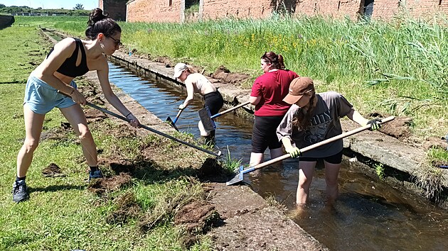 Studenti zvelebuj� Terez�n. Z�kladn� pr�ce prob�haj� v kynet�ch, co� jsou p�vodn� otev�en� kan�ly odv�d�j�c� de��ovou vodu z pevnosti. Dobrovoln�ci p�ijeli do Terez�na na dva t�dny. Denn� pracuj� �est hodin a pak je �ekaj� r�zn� aktivity a v�ukov� programy v�novan� historii Terez�na a bl�zk�ho okol�.