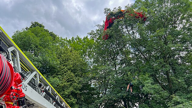 Zchrana paraglidistky z vysokho stromu v Kunicch pod Ondejnkem na Frdecko-Mstecku (13. ervence 2024)