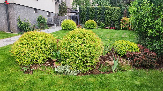 Zahrada v kv�tnu 2024