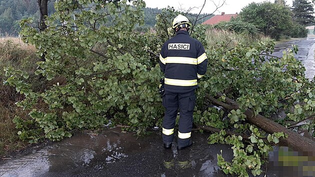 Stedoet hasii zasahovali kvli boukm u polmanch strom. (10. ervence 2024)