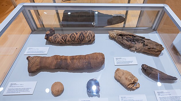 V�stava Na b�ez�ch Nilu v M�stsk�m muzeu v Jarom��i