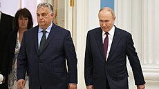 Maïarský premiér Viktor Orbán na návtìvì u Vladimira Putina (5. èervence 2024)