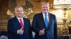 Americký exprezident Donald Trump a maarský premiér Vkctor Orbán. (11....