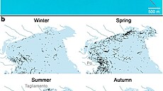 Plastové odpadky vytváejí ne hladin shluky, které jsou postupn zanáeny k...