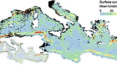 Plastové odpadky vytváejí ne hladin shluky, které jsou postupn zanáeny k...