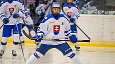 Reprezenta�ní obránce Vladimír Dravecký p�estupuje do �védského Rögle.