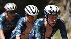 Tempo v hlavním poli favorit bhem patnácté etapy Tour de France udává tým...