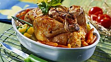 Nad�van� ku�e s ka�tanovou n�divkou 