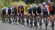 Peloton v 19. etap� Tour de France.