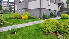 Zahrada v kv�tnu 2024