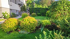 Zahrada v kv�tnu 2024, kdy u� vypadala podle p�edstav Zoji a jejího man�ela.