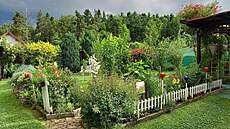 Zahrádka v kolonii je malá, má jen 6 ar�, ale �ikovná.