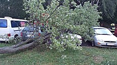 Pratí hasii zasahovali kvli procházející bouce zejména u událostí...