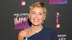 Sharon Stone (erven 2024)