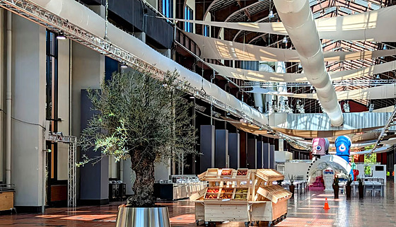 Interiér restaurace v olympijské vesnice. Pojme 3 300 sportovc a denn vydá...