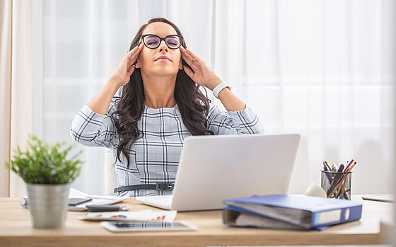 Ilustra�ní snímek