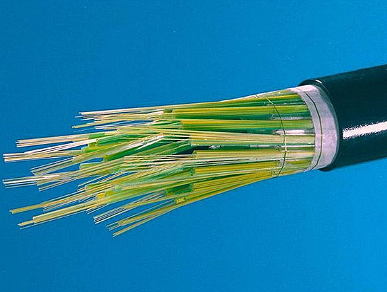 ilustra�ní snímek