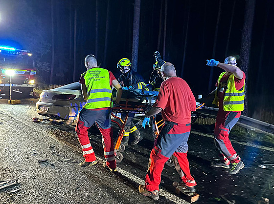 Okolnosti tvrtení tragické nehody u Doks zjiují kriminalisté.