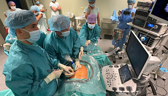 Léka�i Ústavu pro pé�i o matku a dít� (ÚPMD) v Praze - Podolí minulý m�síc...