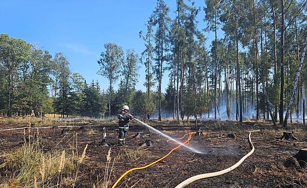 Nad Mělníkem hoří les, zasahují desítky hasičů i vrtulník BlackHawk