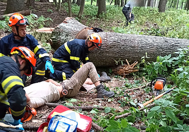 Muže na Kroměřížsku zavalil strom, hasiči museli zdolávat těžký terén
