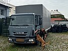 Vojensk� psovod Ji�� �vancara ukazuje pachov� v�cvik slu�ebn�ho psa