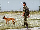 Ji�� �vancara �sp�n� reprezentoval tak� v arm�dn�m biatlonu se psem,...