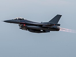 První stíha�ky F-16 dorazily na Slovensko. (22. �ervence 2024)