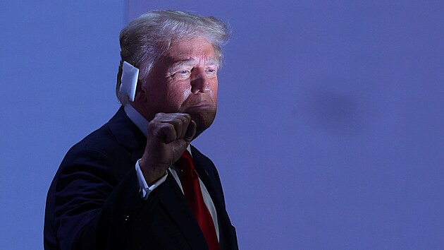 Donald Trump s porannm uchem