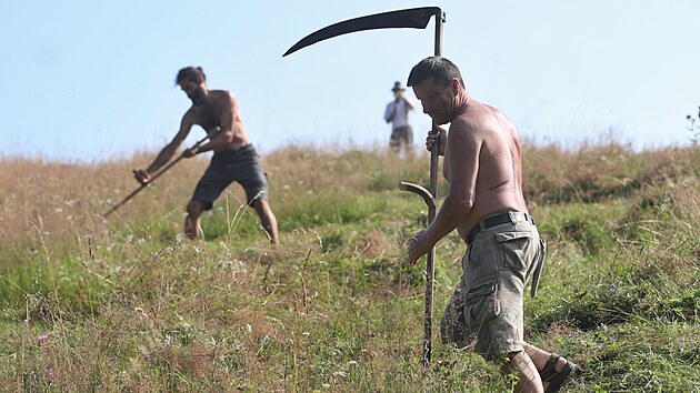 Seki pi prci na vrcholu beskydskho Menho vrchu u uniktnm pralese Mion. (26. ervence 2024)