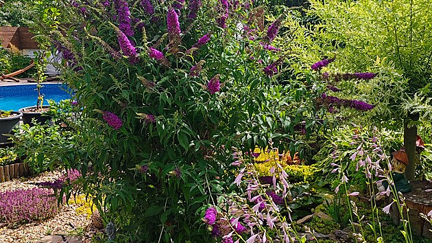 Mot�l� ke� u mal�ho jez�rka