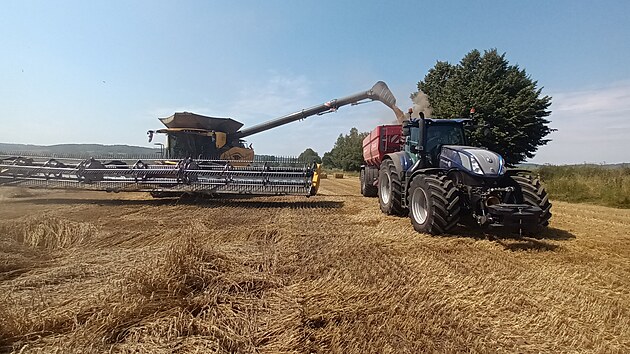 Do pol� vyjel ob�� kombajn New Holland CR11, kter� dok�e za hodinu sklidit a� 100 tun obil�. (22. �ervence 2024)