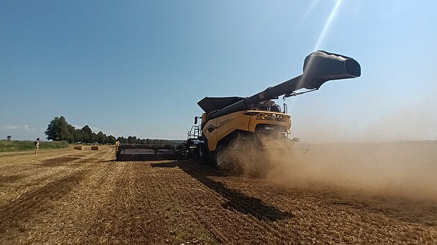 Do pol� vyjel ob�� kombajn New Holland CR11, kter� dok�e za hodinu sklidit a� 100 tun obil�. (22. �ervence 2024)