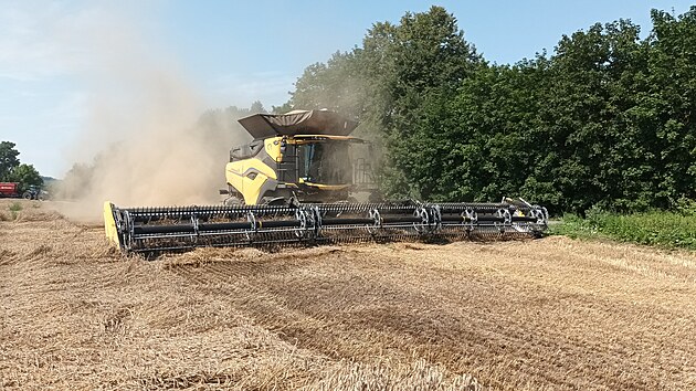 Do pol� vyjel ob�� kombajn New Holland CR11, kter� dok�e za hodinu sklidit a� 100 tun obil�. (22. �ervence 2024)