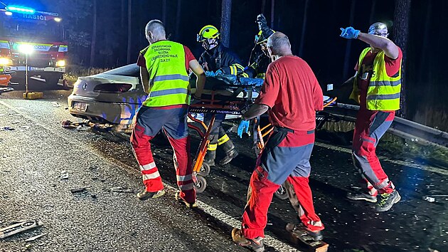 Okolnosti tvrtení tragické nehody u Doks zjiují kriminalisté.