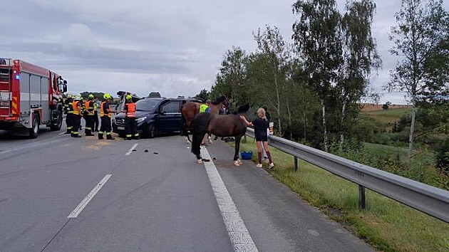 Na dlnici D1 havaroval automobil s pvsem pevejcm kon. (28. ervence...