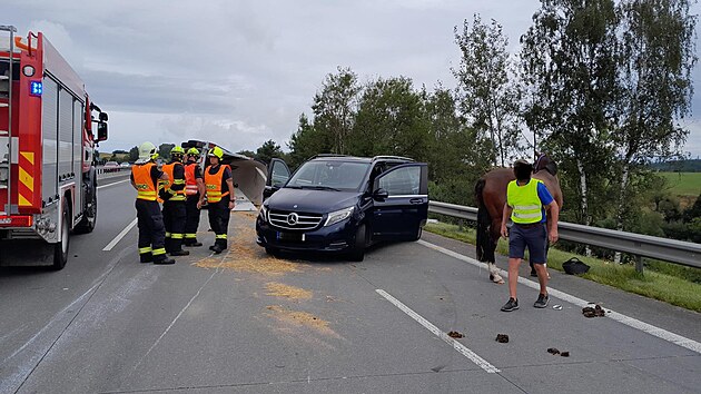 Na dlnici D1 havaroval automobil s pvsem pevejcm kon. (28. ervence...