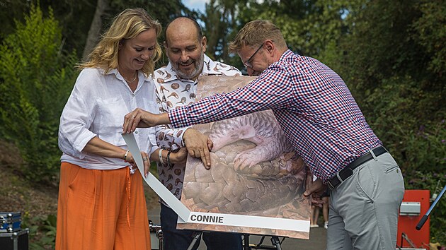 Jm�no, kter� pro luskoun� hol�i�ku narozenou 1. �ervence 2024 navrhli a vybrali �ten��i iDNES.cz, je odhaleno.