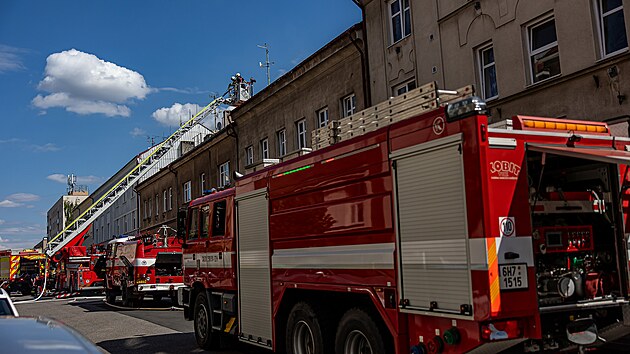 Zsah hasi pi poru bytovho domu v Barkov ulici v Jin. (23.7.2024)