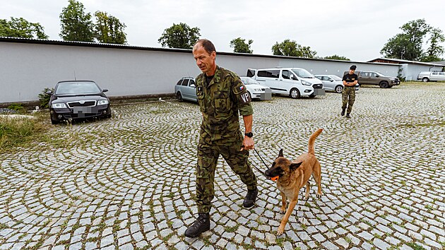 Ji�� �vancara moment�ln� pracuje s belgick�mi ov��ky jm�nem Yuki de Alphaville Bohemia a Pito.