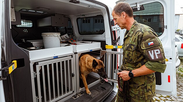 Ji�� �vancara moment�ln� pracuje s belgick�mi ov��ky jm�nem Yuki de Alphaville Bohemia a Pito.