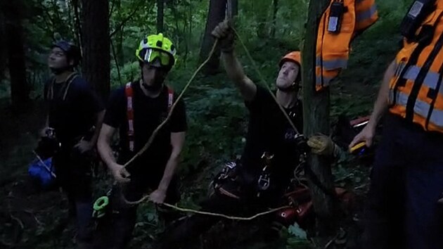 Paraglidistka uvzla na Perovsku v korunch strom, na zem ji sundali hasii.