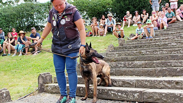 Kynoloka Hana Bhme vycviila belgickho ovka Avatara na vzorcch slonoviny, luskoun a dalch zvat, kter dodala dvorsk zoo.